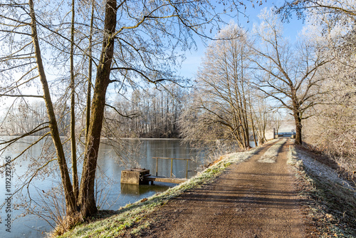 Obraz na płótnie A countryside dirt road running alongside a frozen pond, surrounded by frost-covered trees under a clear blue winter sky. w salonie