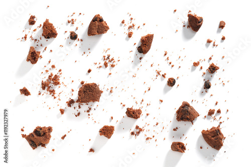 Pieces of chocolate chip cookies