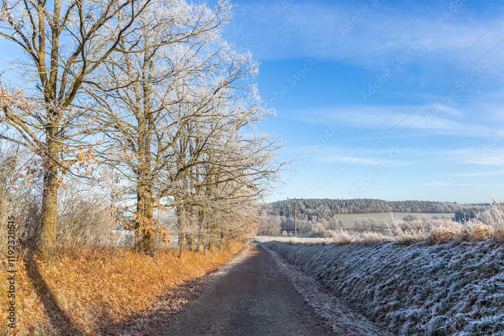 A dirt road in the countryside. A cold winter morning in Central Europe.