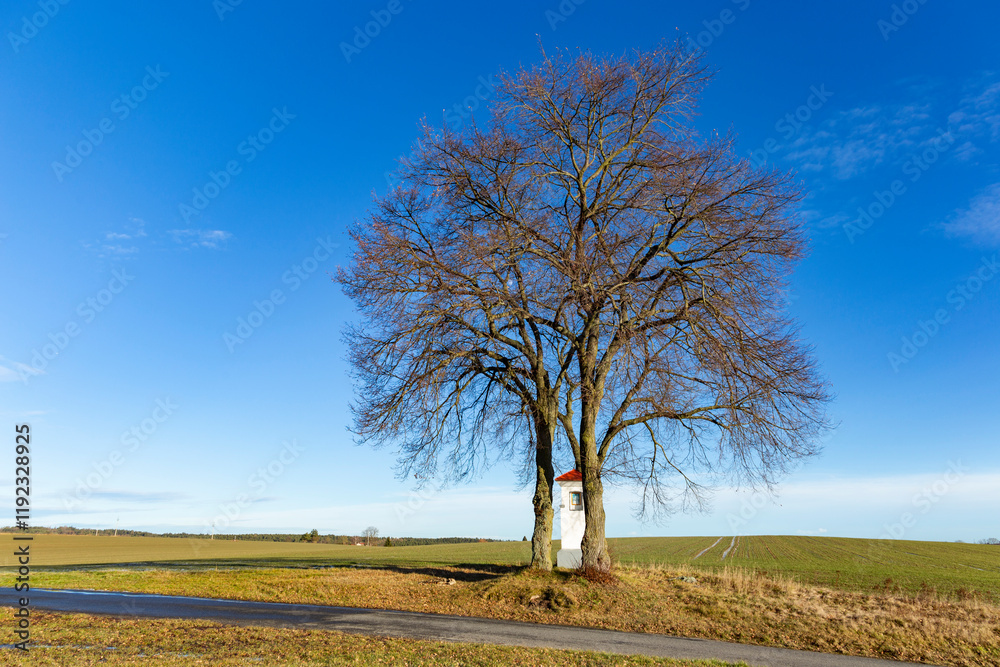 A small chapel on top of a hill with two trees above it. Czechia.