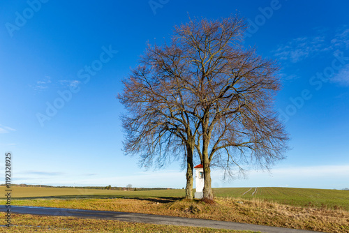 Obraz na płótnie A small chapel on top of a hill with two trees above it. Czechia. w salonie