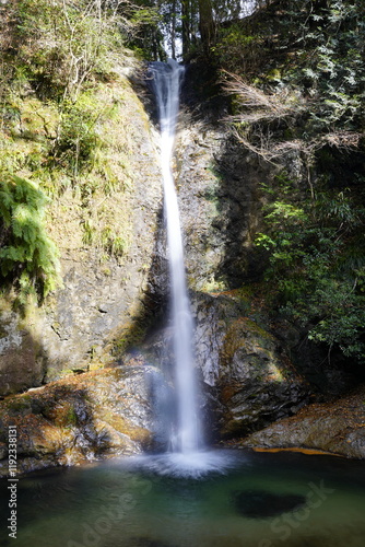 森の中にある滝 奈良県東吉野村投石の滝　
