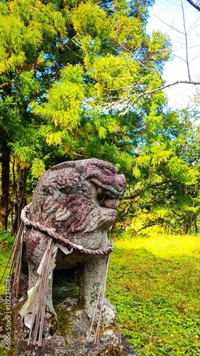 木々の中にある神社の狛犬