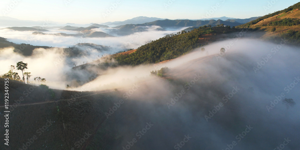 Obraz premium Aerial landscape view of the sea of fog flowing on hills