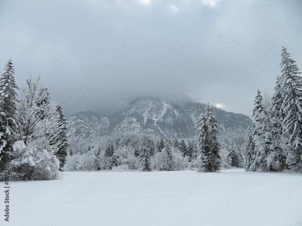 Naklejka premium Winterlandschaft Schwanseepark Füssen