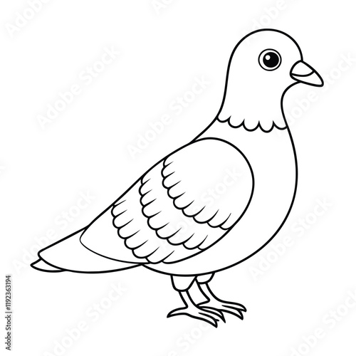  cute pigeon outline design for kids coloring book
