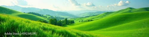 Rolling hills, emerald green grass, abundant vegetation, plant, lush, vegetation