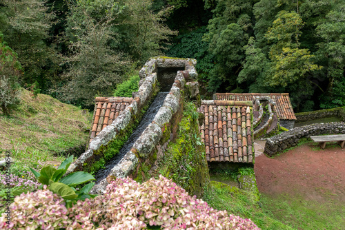 Natural dos Caldeiroes Park in the north of Sao Miguel Island over the Atlantic, Azores archipelago, Portugal photo