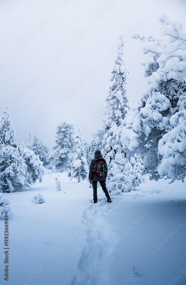 Man with a backpack walking through a snow-covered forest in Finland Man with a backpack walking through a snow-covered forest in Finland