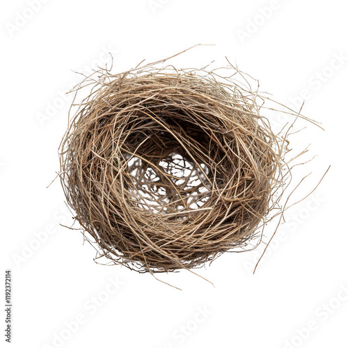 tumbleweed isolated on transparent background
