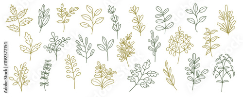 Set of green plants and leaves isolated on white background. Hand drawn art line botanical collection of plants. Nature, spring, summer, Ester concept.