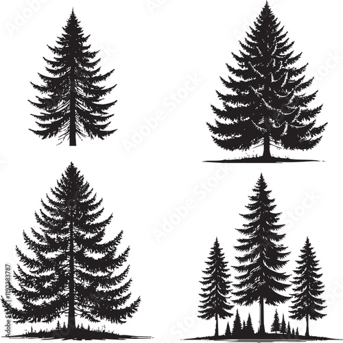 High-Quality Four Set of Monochrome Vector Silhouettes of the Douglas Fir Tree"