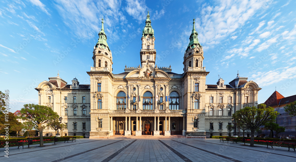 Fototapeta premium Hungary, Town hall of city Gyor