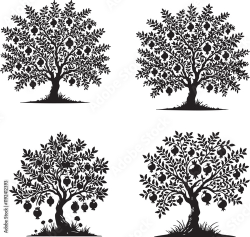 High-Quality Monochrome Vector Silhouettes of the Pomegranate Fruit and Plant