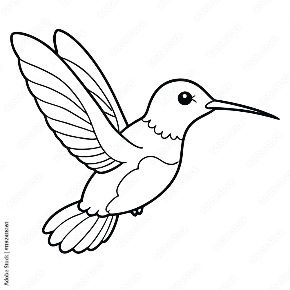 cute hummingbird outline vector for kids cute hummingbird outline vector for kids