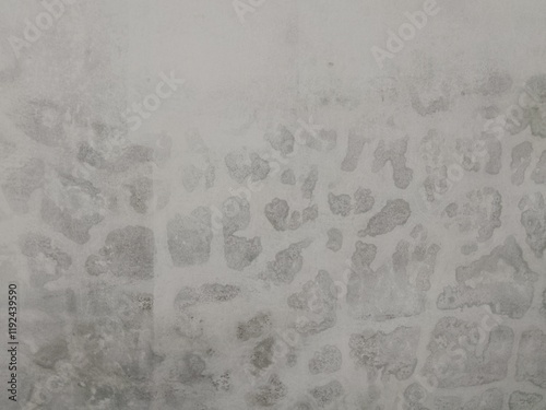 walls seep rainwater