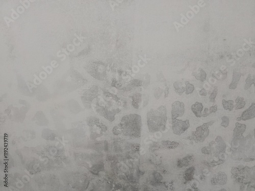 walls seep rainwater