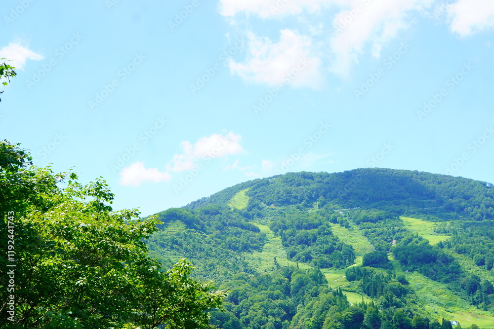 Obraz premium 湯沢高原のロープウェーに乗った先、アルプの里から見えた綺麗な景色