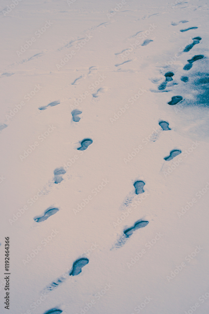 Footprints of people walking by were left in the white snow on a cold winter day. January day Footprints of people walking by were left in the white snow on a cold winter day. January day