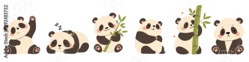 Fototapeta A set of flat vector illustrations in a simple children's style. Cute pandas in different poses. Sleeping, with bamboo, funny and sad on a white background . Vector illustration