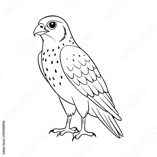  falcon cute silhouette vector design for kids book