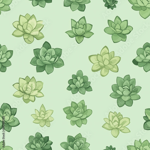 Echeveria flat illustration, Echeveria repetitive pattern photo