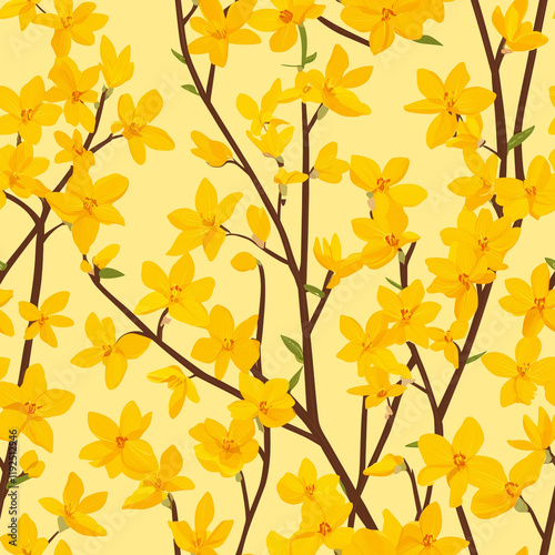 Forsythia continuous icon pattern, Forsythia repeating background photo