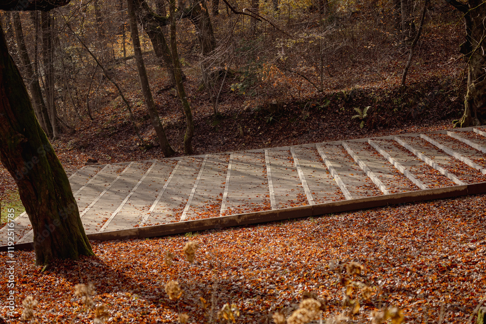 Wide stairs made of stone and concrete in the middle of a park, climbing up into forest. Part of an outdoor theatre in tivoli park, Ljubljana, Slovenia