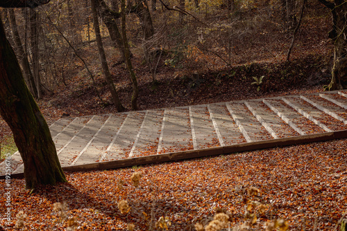 Obraz na płótnie Wide stairs made of stone and concrete in the middle of a park, climbing up into forest. Part of an outdoor theatre in tivoli park, Ljubljana, Slovenia w salonie
