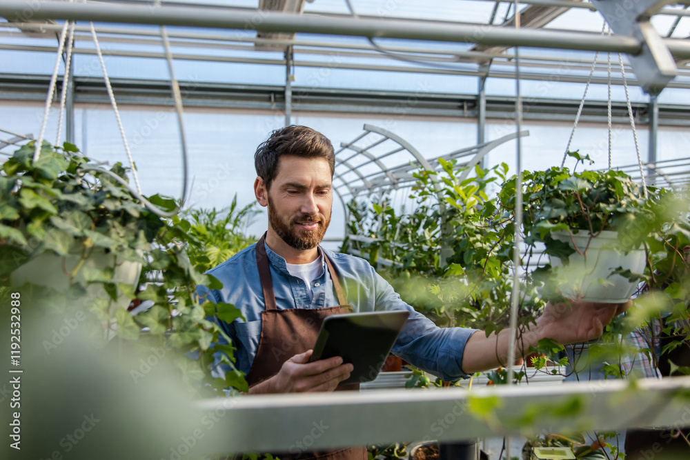 Male bearded greenhouse worker looking involved and busy Male bearded greenhouse worker looking involved and busy