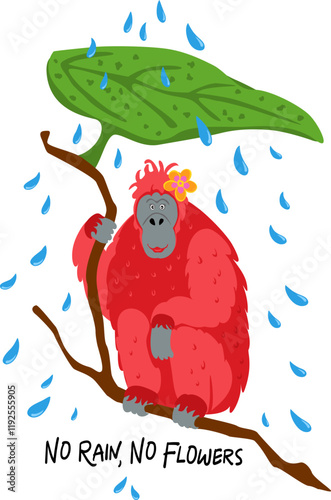 no rain no flowers inspirational motivational wall art illustration with cute orangutan photo