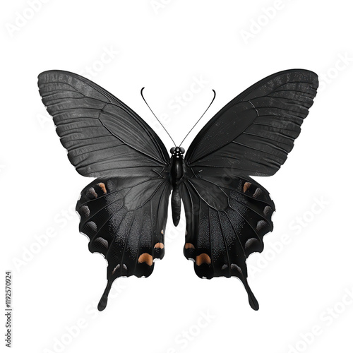 Captivating butterfly dance on a minimal white background artistic stylization for modern decor nature inspiration