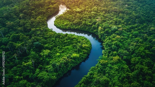 Aerial view of lush tropical rainforest featuring a winding river with bright greenery and ample empty space for creative text placement