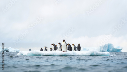 Penguins standing on diminishing ice floe in Antarctic seascape, climate change