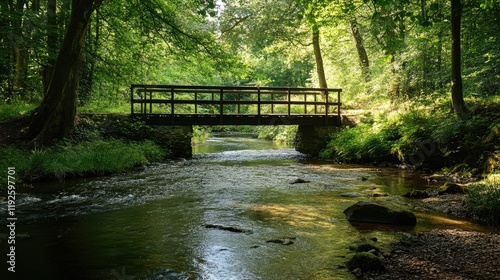 Clapper Bridge Crossing Over Serene River Surrounded by Lush Forest Nature Landscape photo