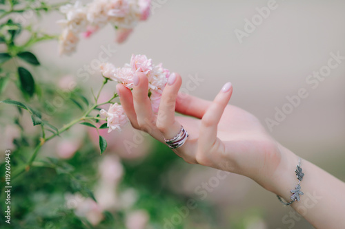 female hands touching beautiful white flowers. spring flowers. spring background.	