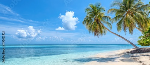 Tropical beach scene with coconut palm trees under a bright blue sky and calm ocean featuring ample copy space for promotional text photo