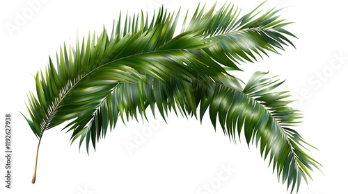 Stunning Tropical Palm Leaves Design - Lush Green Foliage