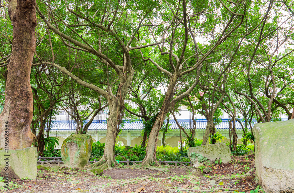 Daytime view of the garden of Chiang Kai-shek Memorial Hall