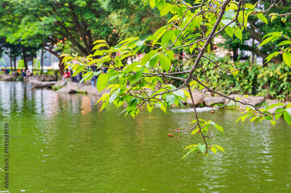 Daytime view of the garden of Chiang Kai-shek Memorial Hall