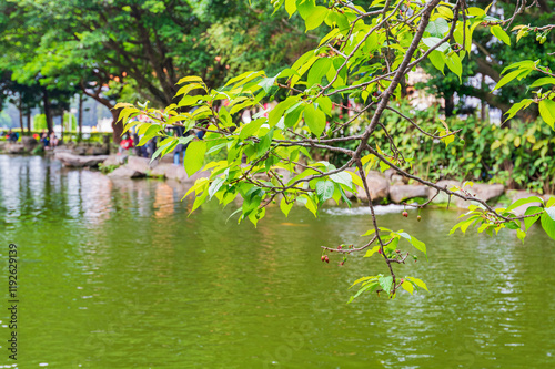 Daytime view of the garden of Chiang Kai-shek Memorial Hall