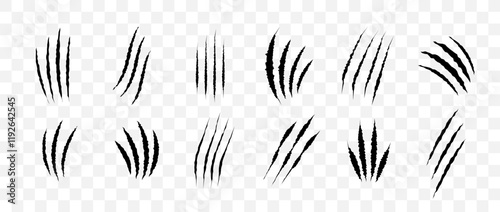 Cat scratch. Black claw scratches set isolated on transparent background. Dragon, bear or tiger claw marks. Halloween monster paw scratch trace on surface. Flat vector illustration.