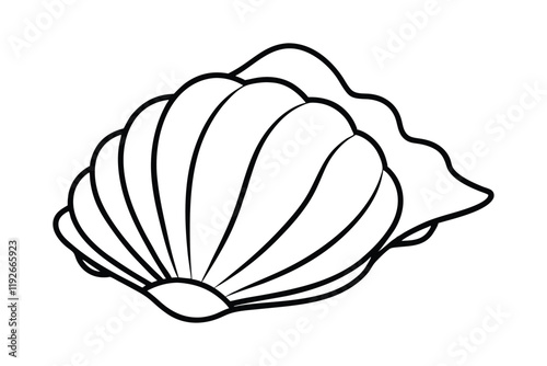 Sea shell line art illustration2.eps