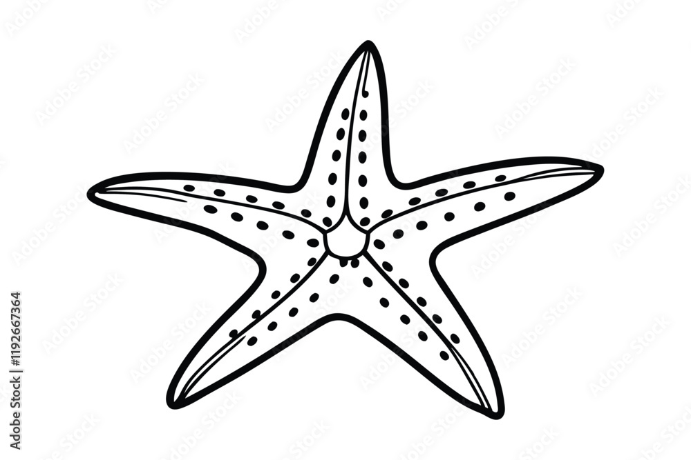 Fototapeta premium Star fish line art illustration.eps