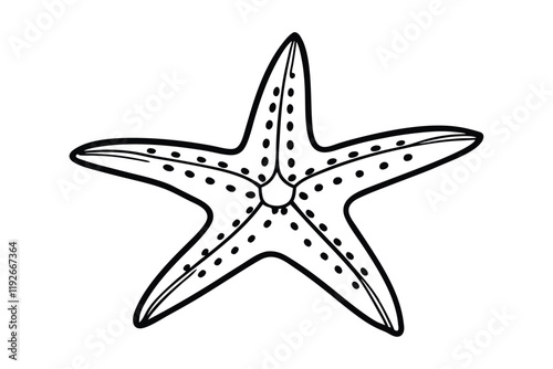 Star fish line art illustration.eps
