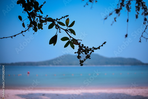 Tranquil beach with a focus on a silhouetted branch in the foreground photo