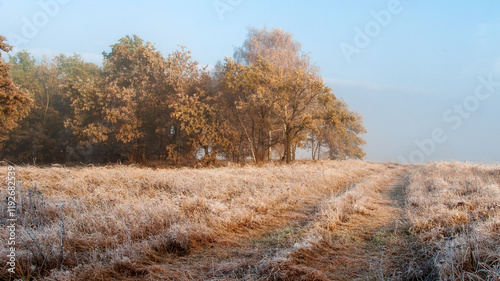 Obraz na płótnie Piękno zimowego krajobrazu w dolinie rzeki Narew, Podlasie, Polska w salonie