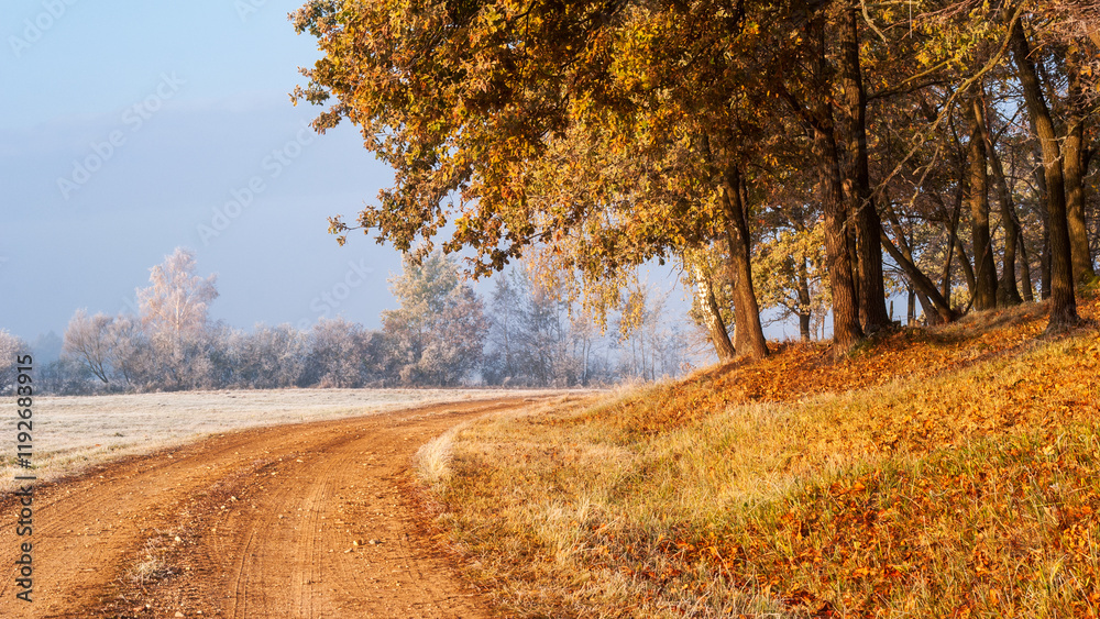 Piękno zimowego krajobrazu w dolinie rzeki Narew, Podlasie, Polska