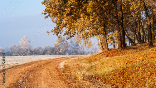 Obraz na płótnie Piękno zimowego krajobrazu w dolinie rzeki Narew, Podlasie, Polska w salonie