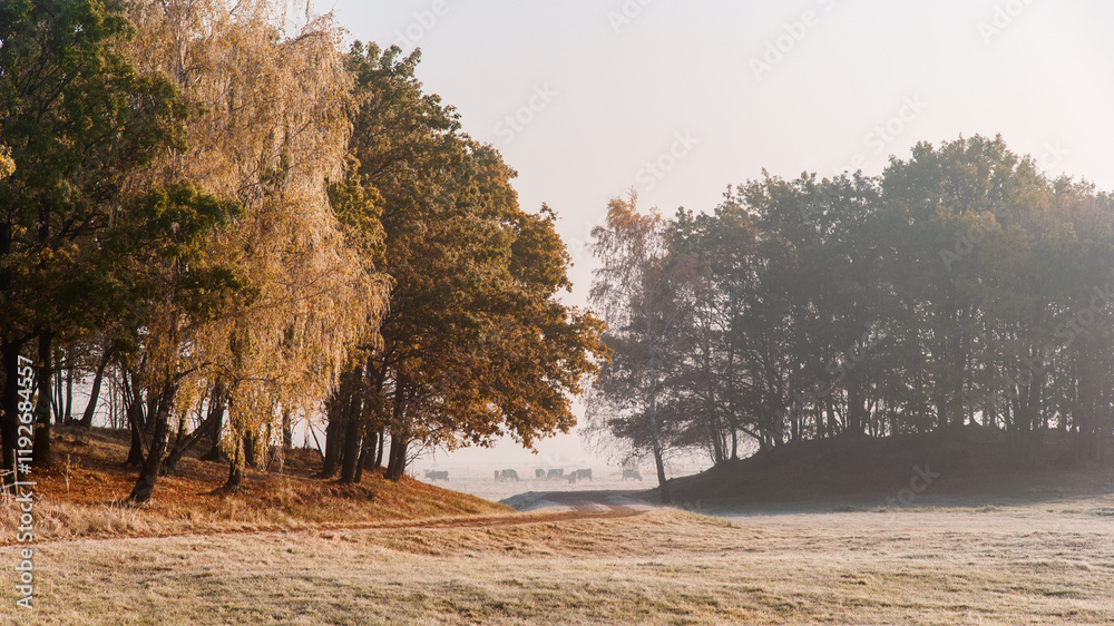 Piękno zimowego krajobrazu w dolinie rzeki Narew, Podlasie, Polska